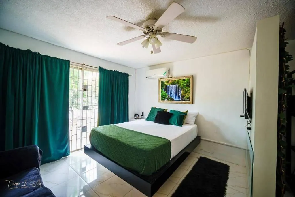 Fiwi-Own Chelsea Manor, Kingston Lägenhet